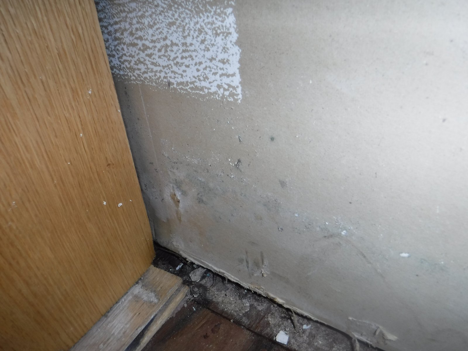 Mold remediation Danbury CT
